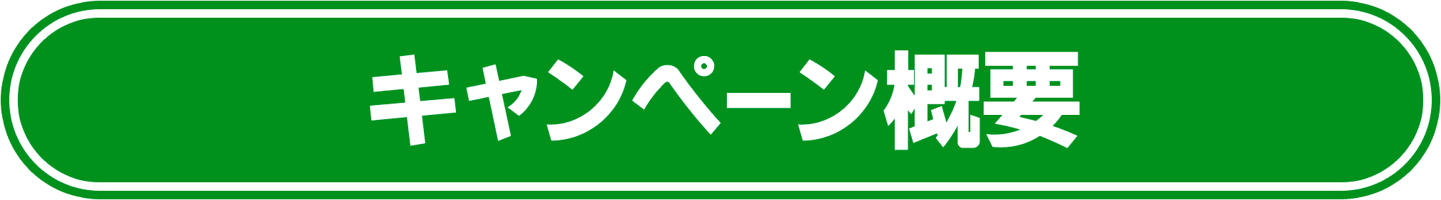 キャンペーン概要